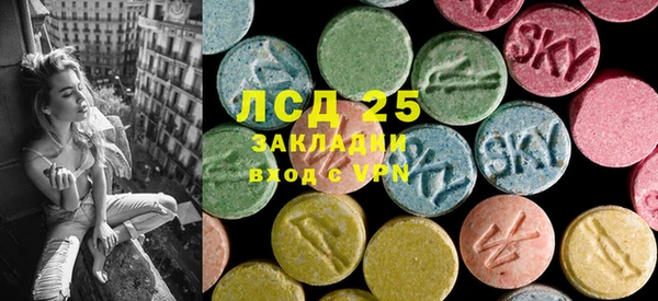 индика Беломорск
