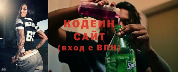 индика Беломорск
