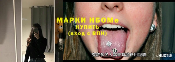 индика Беломорск