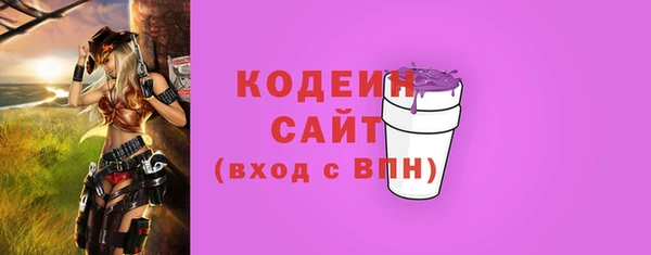 индика Беломорск