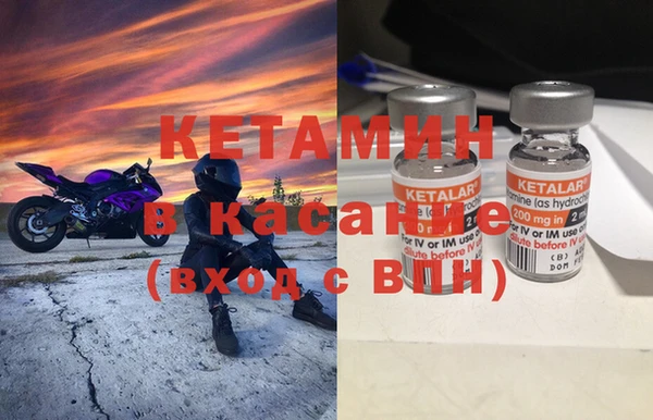 индика Беломорск