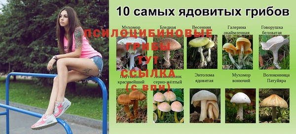 ALPHA PVP Пролетарск