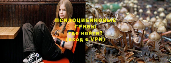 индика Беломорск
