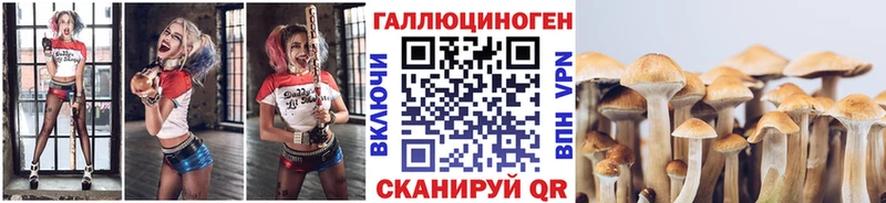 Галлюциногенные грибы ЛСД  Шилка 